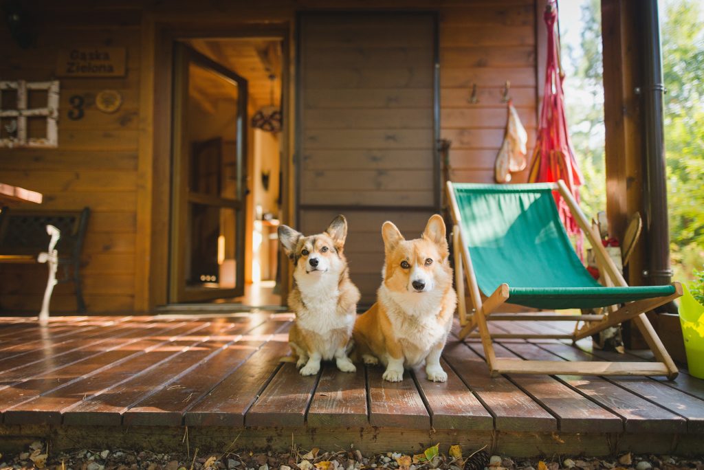 short-term rental guest experience